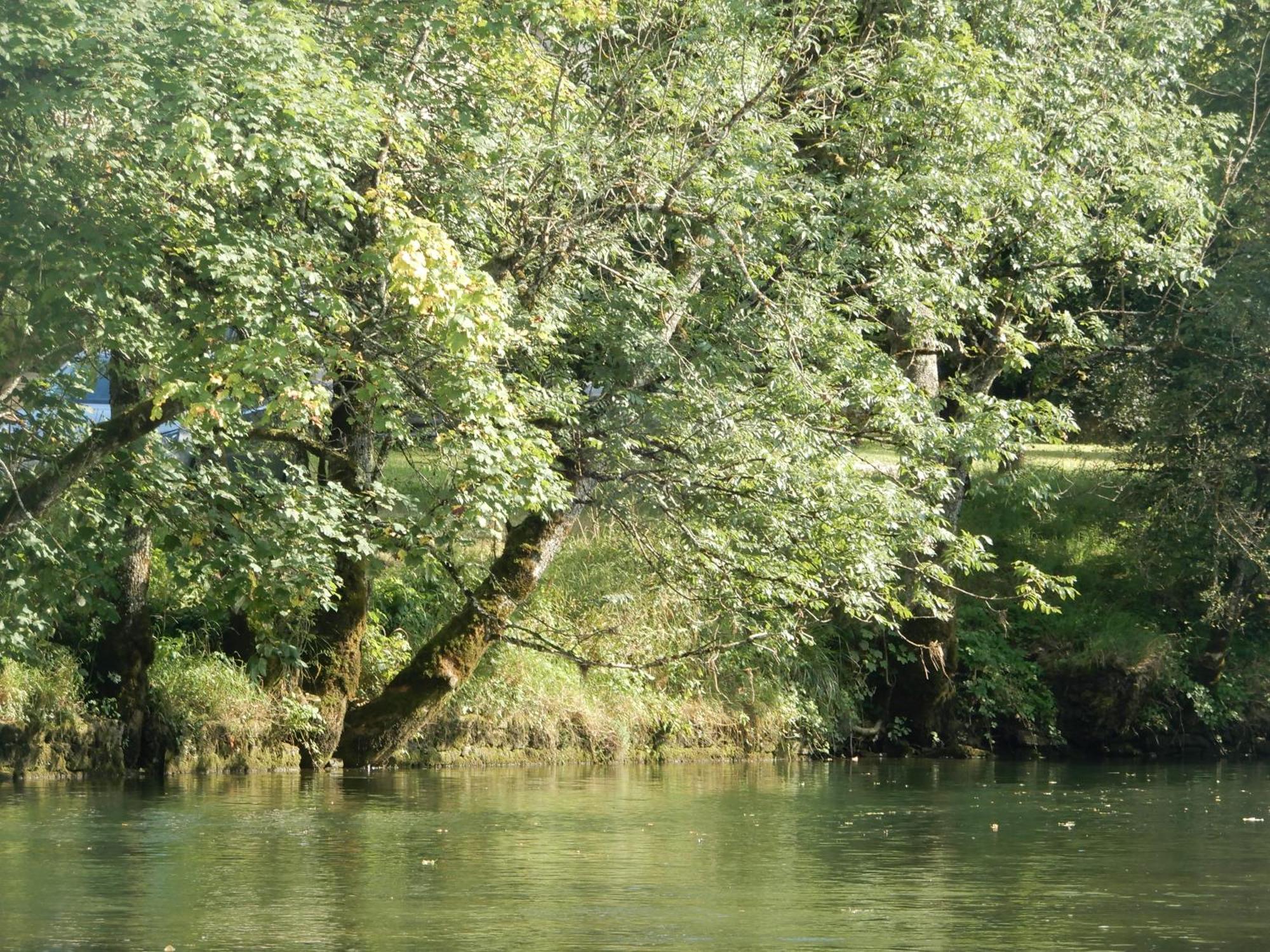 Maison De Vacances - Vue Panoramique Riviere Ornans Dış mekan fotoğraf