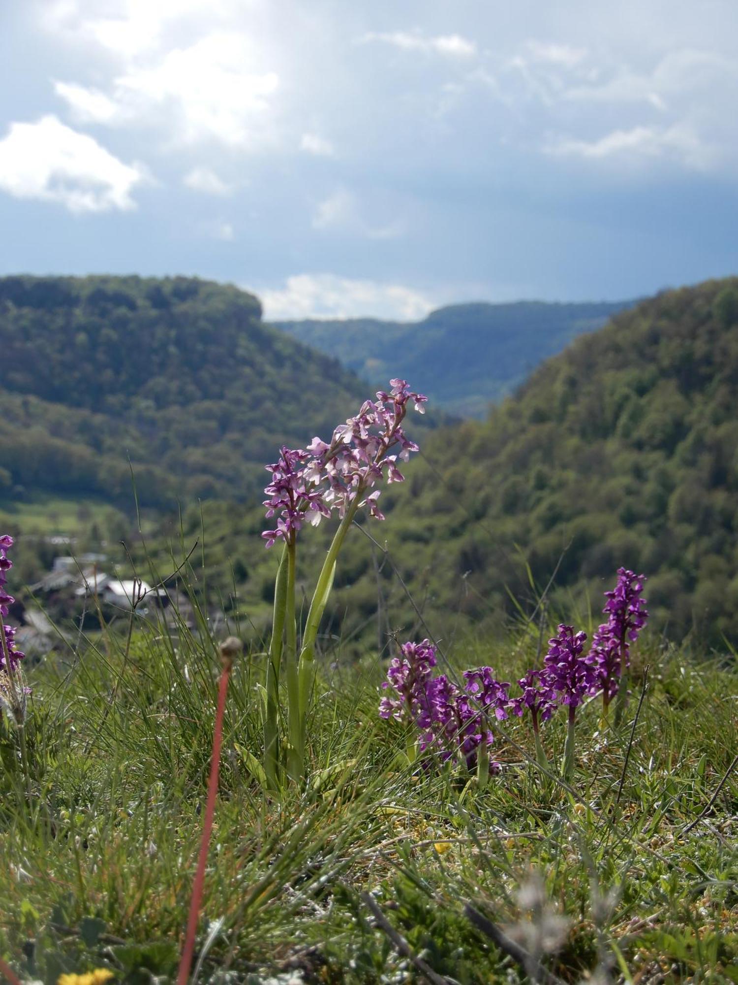 Maison De Vacances - Vue Panoramique Riviere Ornans Dış mekan fotoğraf